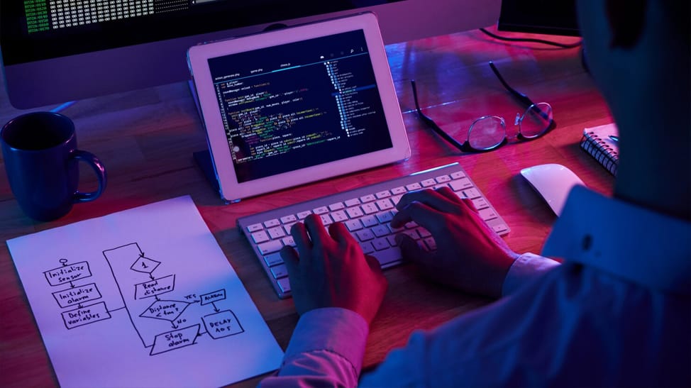 WordPress Development Services in Sydney: Get Professional Support for Your Website